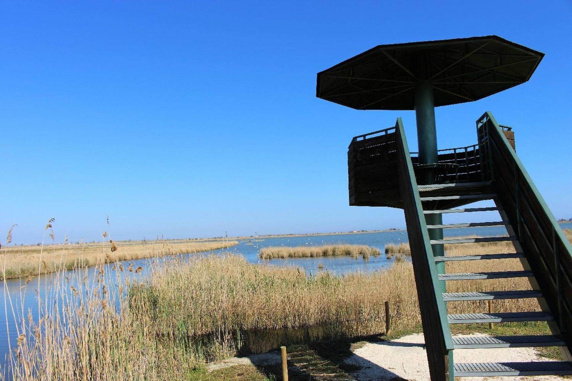 Quet - Casa Rural Con Piscina Privada En El Delta Del Ebro - Deltavacaciones Deltebre Exterior photo